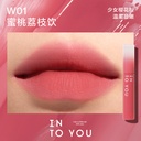 INTO YOU WATERY MIST LIP GLOSS